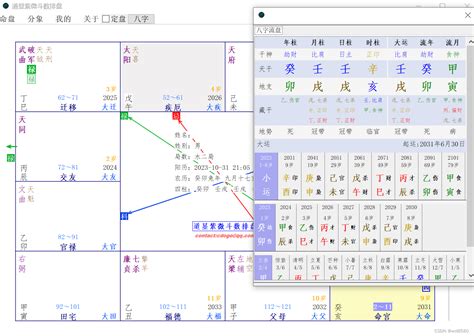 大吉星|紫微斗数排盘